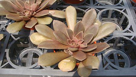 DSC03929.JPG DSC03929.JPG