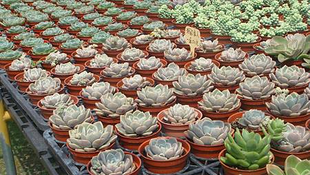 DSC03970.JPG DSC03970.JPG