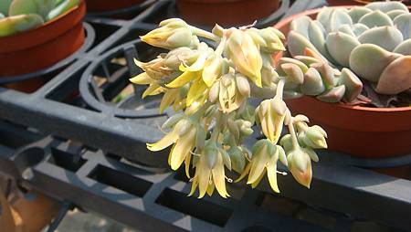 DSC03994.JPG DSC03994.JPG