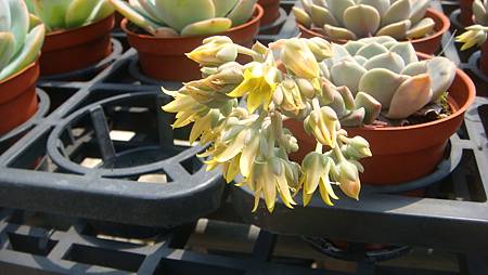 DSC03995.JPG DSC03995.JPG