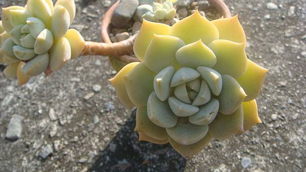 DSC05113.JPG DSC05113.JPG