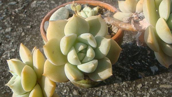 DSC05119.JPG DSC05119.JPG