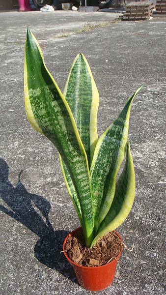 DSC05222.JPG DSC05222.JPG