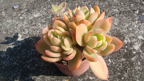 DSC05255.JPG DSC05255.JPG