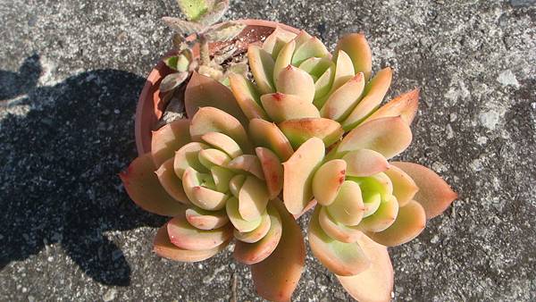 DSC05256.JPG DSC05256.JPG