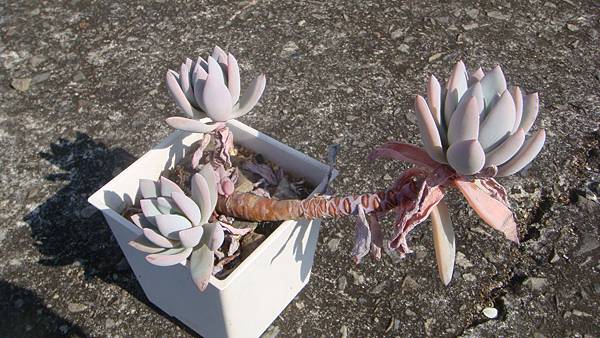 DSC05269.JPG DSC05269.JPG