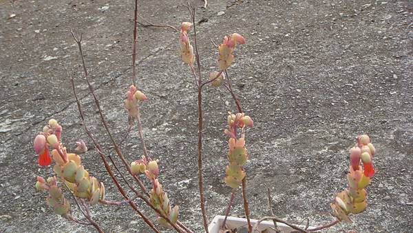 DSC05417.JPG DSC05417.JPG