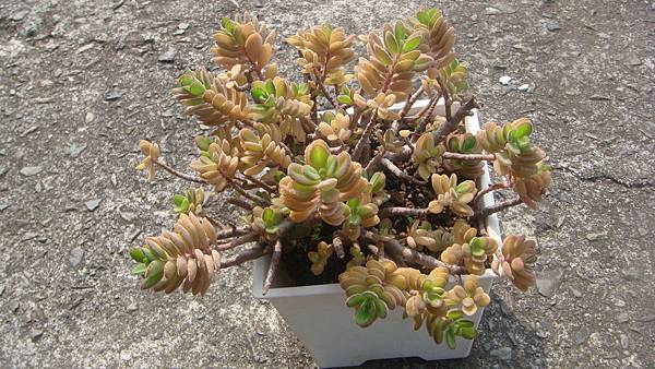 DSC06280.JPG DSC06280.JPG