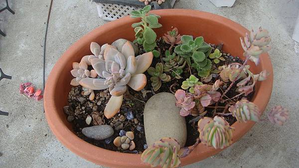 DSC06309.JPG DSC06309.JPG