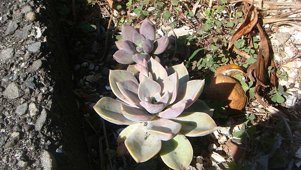 DSC03784.JPG DSC03784.JPG