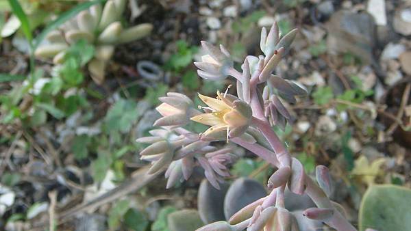 DSC04361.JPG DSC04361.JPG