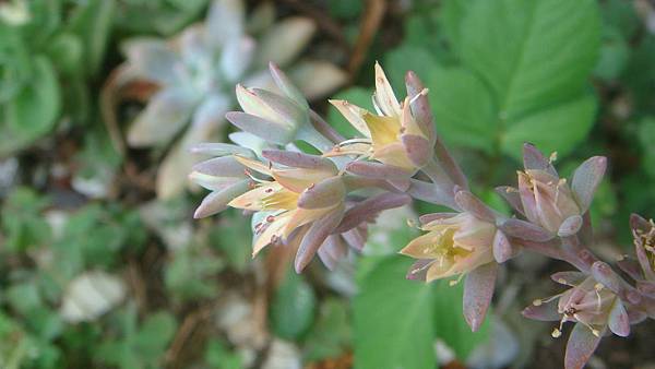 DSC04511.JPG DSC04511.JPG