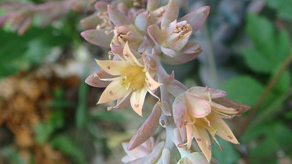 DSC04512.JPG DSC04512.JPG