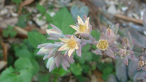 DSC04514.JPG DSC04514.JPG