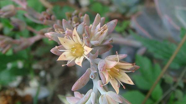 DSC04520.JPG DSC04520.JPG