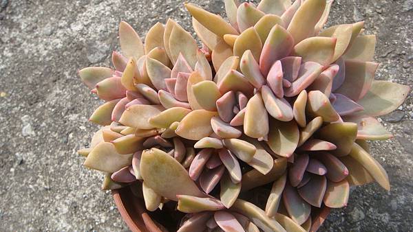 DSC06333.JPG DSC06333.JPG