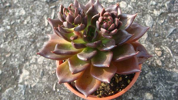 DSC04773.JPG DSC04773.JPG