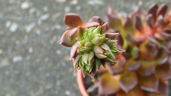 DSC04825.JPG DSC04825.JPG