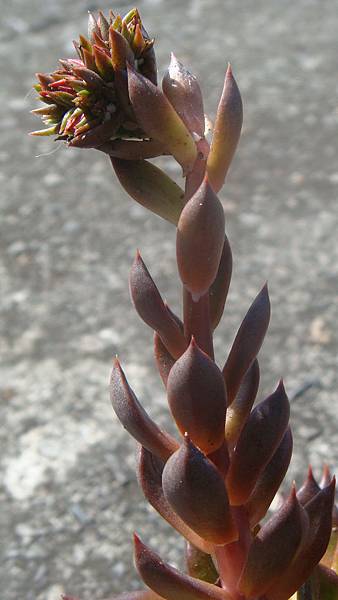 DSC05072.JPG DSC05072.JPG