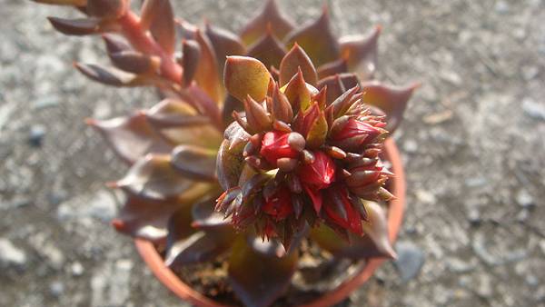 DSC05136.JPG DSC05136.JPG