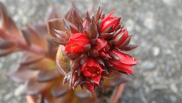 DSC05154.JPG DSC05154.JPG