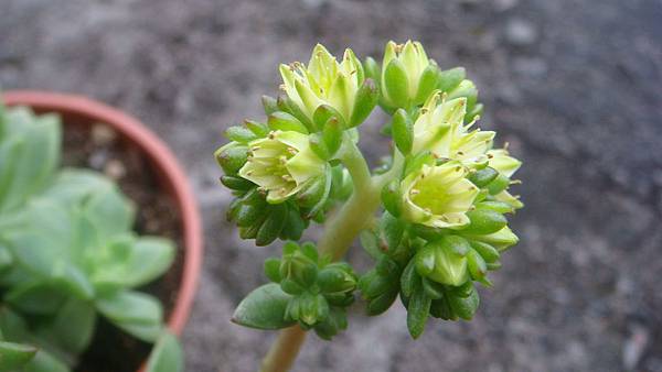 DSC03550.JPG DSC03550.JPG