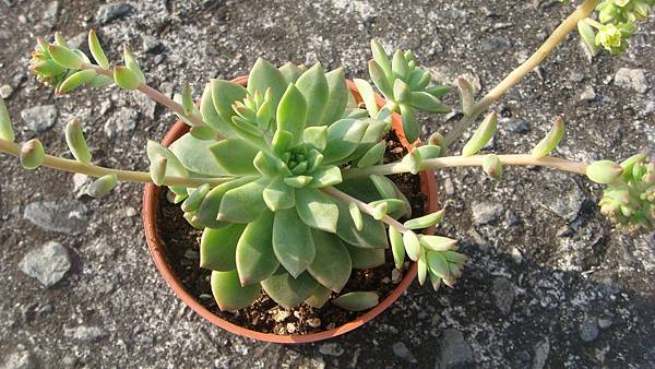 DSC03818.JPG DSC03818.JPG