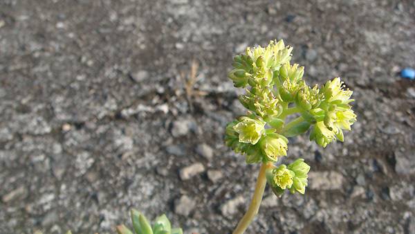 DSC03821.JPG DSC03821.JPG