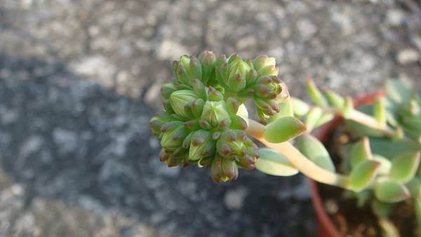 DSC03823.JPG DSC03823.JPG