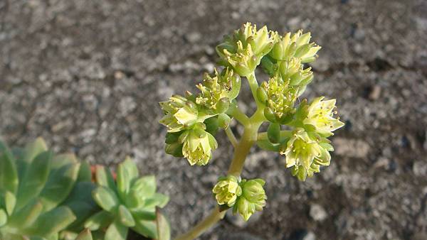 DSC03825.JPG DSC03825.JPG