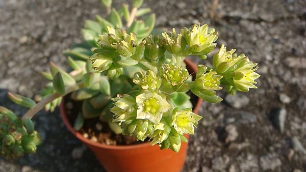 DSC03826.JPG DSC03826.JPG