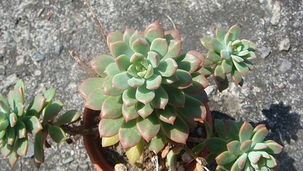 DSC05059.JPG DSC05059.JPG