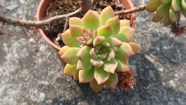 DSC06321.JPG DSC06321.JPG