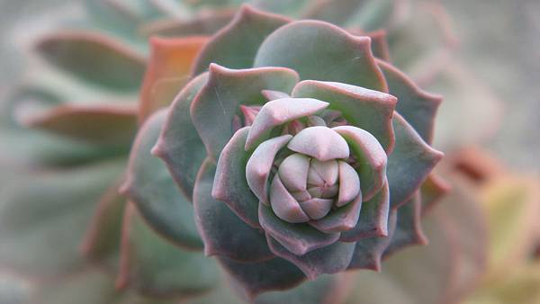 DSC03446.JPG DSC03446.JPG