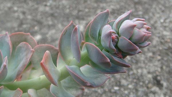 DSC03448.JPG DSC03448.JPG