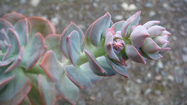 DSC03566.JPG DSC03566.JPG