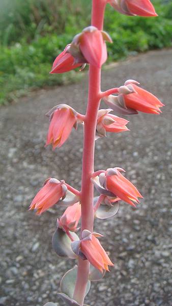 DSC04382.JPG DSC04382.JPG