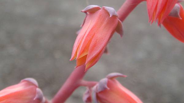 DSC04436.JPG DSC04436.JPG