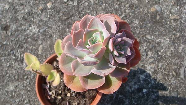 DSC05277.JPG DSC05277.JPG