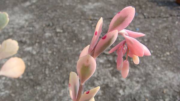 DSC03023.JPG DSC03023.JPG