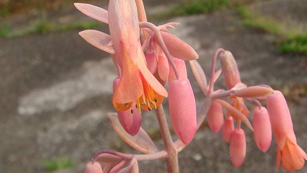 DSC03691.JPG DSC03691.JPG