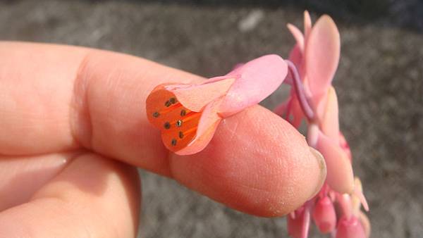 DSC03734.JPG DSC03734.JPG