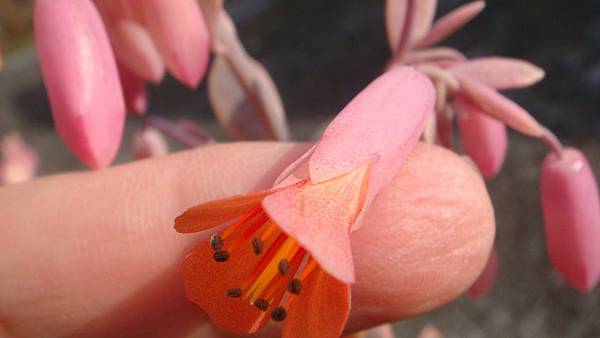 DSC03735.JPG DSC03735.JPG