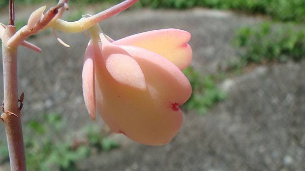 DSC04539.JPG DSC04539.JPG