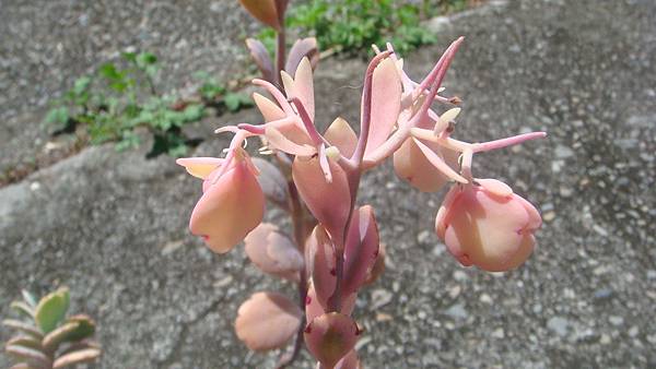 DSC04543.JPG DSC04543.JPG