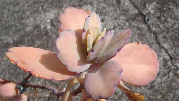 DSC05307.JPG DSC05307.JPG