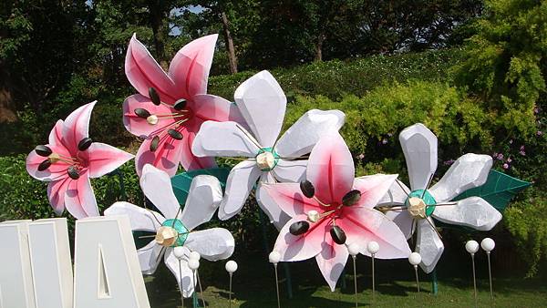 百合.JPG 百合.JPG