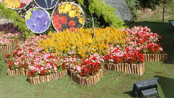 花 (2).JPG 花 (2).JPG