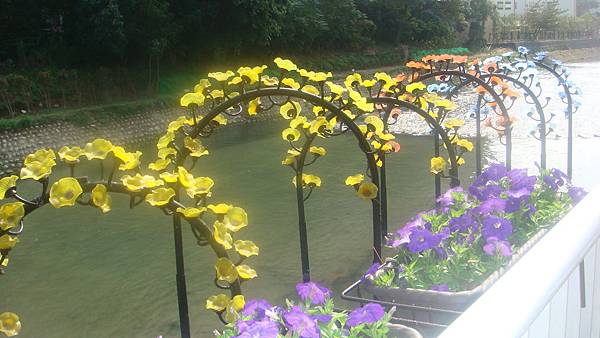 牽牛 (1).JPG 牽牛 (1).JPG