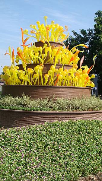 菇 (2).JPG 菇 (2).JPG